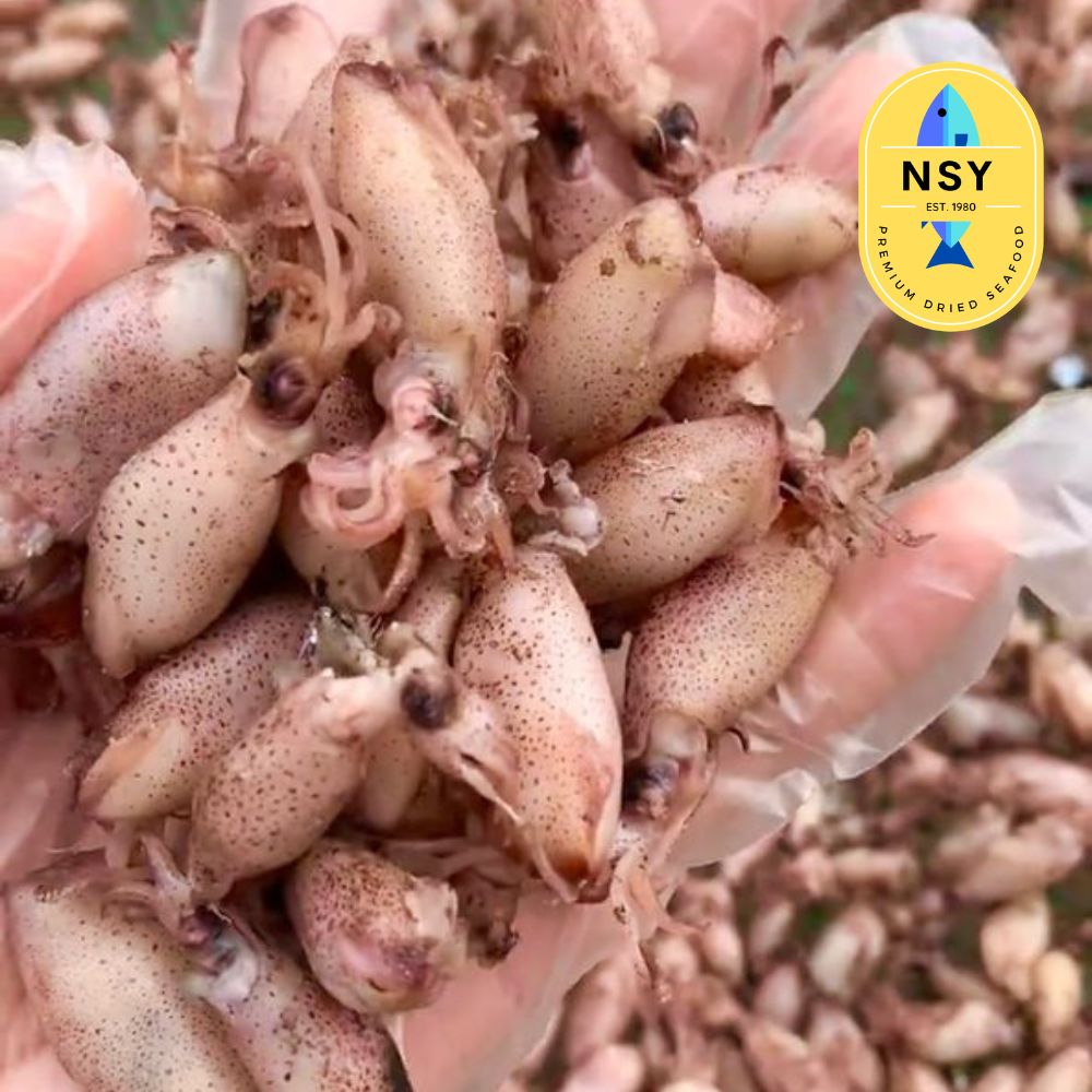 Salted Dried Round Squid - Grade A